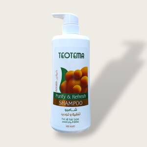 TEOTEMA Healthy & Attractive Shampoo