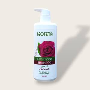 TEOTEMA Healthy & Attractive Shampoo