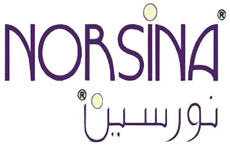 Norsina